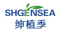 绅植季SHGENSEA