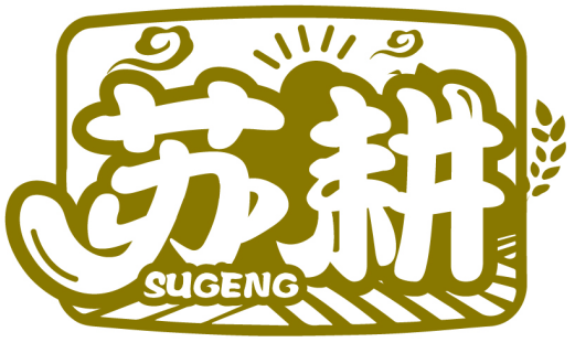 苏耕SUGENG